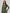 Cropped Long Sleeve - Green Croco image 0
