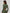 Cropped Long Sleeve - Green Croco image 1