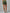 Vestem Croco Shorts image 1