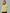 Minimal Dry Fit Chic Jacket | Yellow Sun Kisses